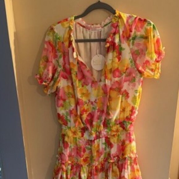 W.A.P.G. We're All Pretty Girls Floral Rosie Dress - Mixology - L - NWT - Picture 2 of 11